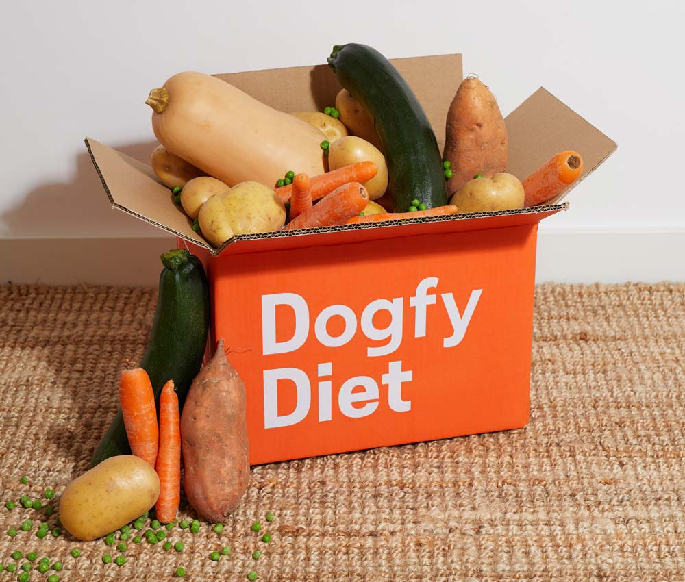 Logo Dogfi Diet